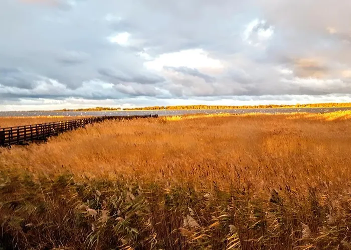 Avila Park & Nocleg ze śniadaniem Dziwnówek