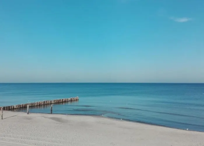 Avila Park & Bed and breakfast